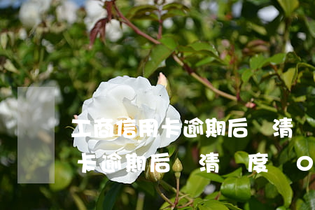 工商信用卡逾期后還清額度為0-工商信用卡逾期后還清額度為0怎么回事