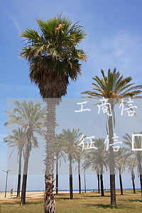 工商信用卡逾期四天還了還會(huì)上征信嗎-工商信用卡逾期四天還了還會(huì)上征信嗎