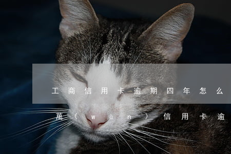 工商信用卡逾期四年怎么還款 欠工商銀行兩萬(wàn)信用卡逾期三年需要還多少