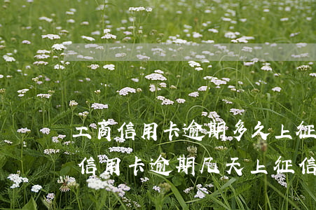工商信用卡逾期多久上征信(工商银行公务卡信用卡逾期几天上征信)