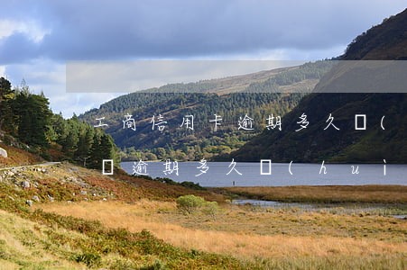 工商信用卡逾期多久會(huì)上失信名單(逾期多久會(huì)上失信人員名單)