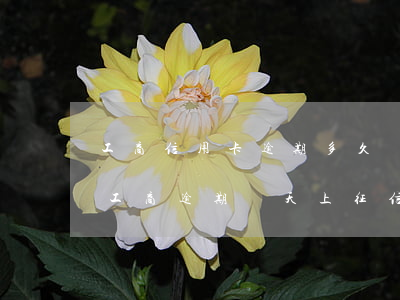 工商信用卡逾期多久會(huì)上征信嗎 工商逾期幾天上征信