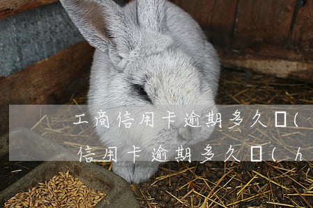 工商信用卡逾期多久會(huì)立案(工商信用卡逾期多久會(huì)立案)