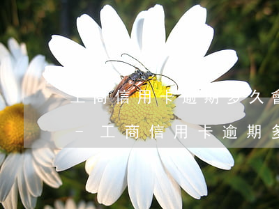 工商信用卡逾期多久會(huì)被停用6-工商信用卡逾期多久會(huì)被停用6年
