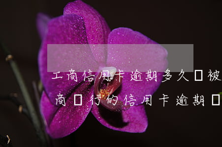 工商信用卡逾期多久會被起訴怎么處理-工商銀行的信用卡逾期會產(chǎn)生什么后果