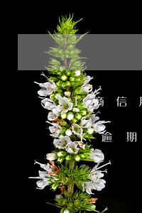 工商信用卡逾期多久能重新辦卡-工商信用卡逾期多久能重新辦卡呢