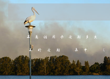 工商信用卡逾期多久轉(zhuǎn)外包(工行逾期過再申請(qǐng)信用卡)
