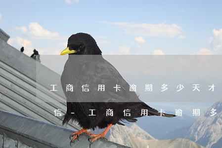 工商信用卡逾期多少天才會(huì)上征信-工商信用卡逾期多少天才會(huì)上征信報(bào)告