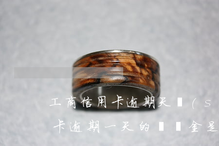 工商信用卡逾期天數(shù) 工行的信用卡逾期一天的違約金是多少