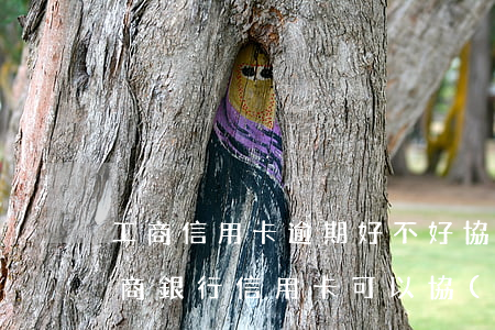 工商信用卡逾期好不好協(xié)商(欠工商銀行信用卡可以協(xié)商降低還款額度嗎)