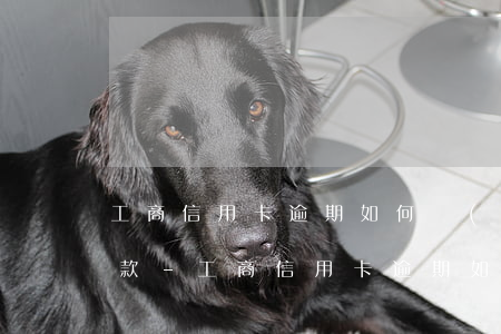 工商信用卡逾期如何協(xié)商分期還款-工商信用卡逾期如何協(xié)商分期還款的