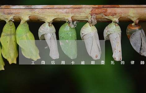 工商信用卡逾期委托的律師