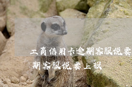 工商信用卡逾期客服说要上报(工商信用卡逾期客服说要上报)