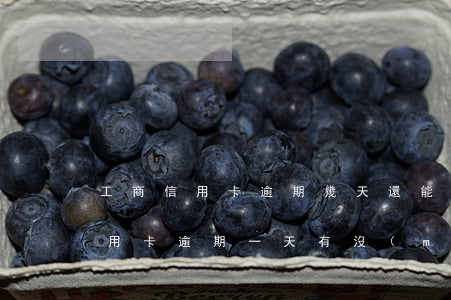 工商信用卡逾期幾天還能用嗎-工商銀行信用卡逾期一天有沒(méi)有影響?