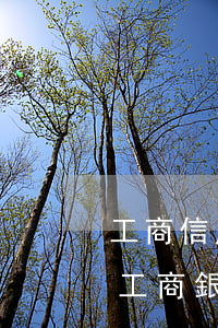 工商信用卡逾期幾年會(huì)被拘留嗎(工商銀行的信用卡逾期會(huì)產(chǎn)生什么后果)