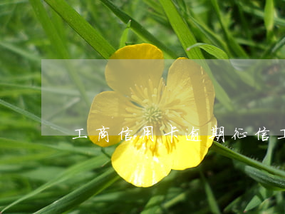 工商信用卡逾期征信（工商信用卡逾期征信）