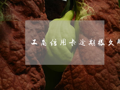 工商信用卡逾期很久解凍