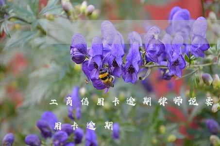 工商信用卡逾期律师说要上门 找律师处理信用卡逾期