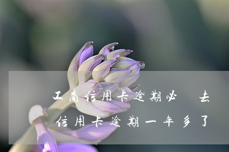工商信用卡逾期必須去銀行還款 工商銀行的信用卡逾期一年多了還能協(xié)商分期還款嗎