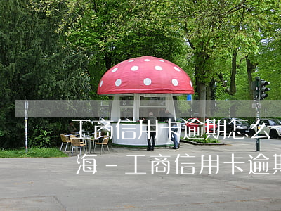 工商信用卡逾期怎么協(xié)商解決上海-工商信用卡逾期怎么協(xié)商解決上海銀行