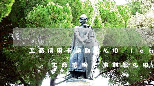 工商信用卡逾期怎么扣儲(chǔ)蓄卡的錢-工商信用卡逾期怎么扣儲(chǔ)蓄卡的錢呢
