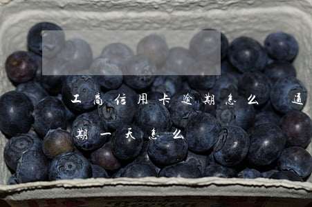 工商信用卡逾期怎么溝通-工商的信用卡逾期一天怎么辦