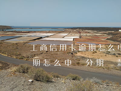工商信用卡逾期怎么申請分期(工商信用卡逾期怎么申請分期還款)