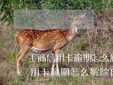 工商信用卡逾期怎么解除自動扣款-工商信用卡逾期怎么解除自動扣款協(xié)議
