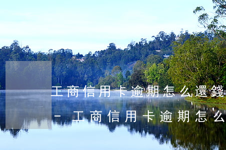 工商信用卡逾期怎么還錢進去興業(yè)-工商信用卡逾期怎么還錢進去興業(yè)銀行