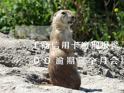工商信用卡逾期报警了(工商银行信用卡3000逾期三个月会报警吗)