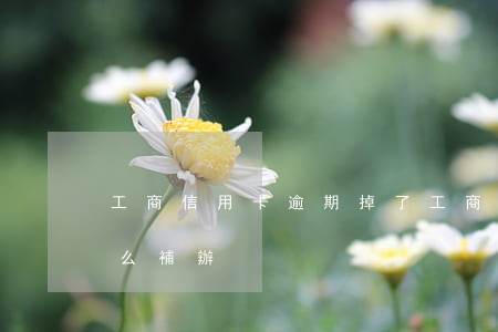 工商信用卡逾期掉了(工商信用卡逾期掉了怎么補辦)