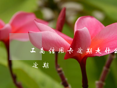 工商信用卡逾期是什么樣的(工商信用卡2萬逾期)