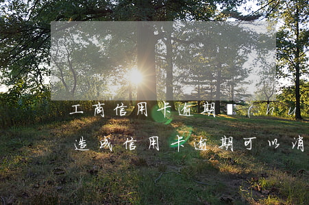 工商信用卡逾期會(huì)坐牢嗎(因坐牢造成信用卡逾期可以消除嗎)