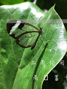 工商信用卡逾期會垮扣么(工商信用卡逾期工商儲蓄卡有錢會被扣嗎)