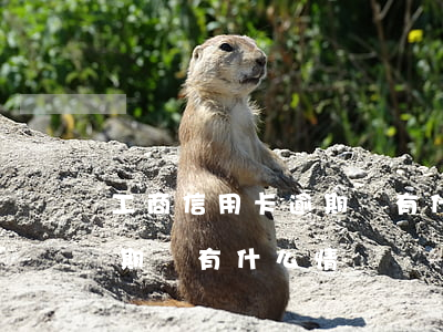 工商信用卡逾期會有什么情況(工商信用卡逾期會有什么情況)