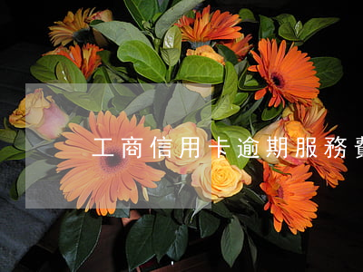 工商信用卡逾期服務費