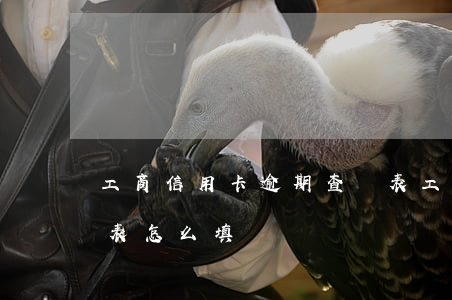 工商信用卡逾期查詢表(工商信用卡逾期查詢表怎么填)