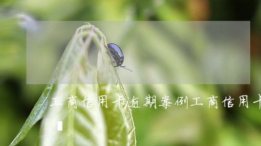 工商信用卡逾期案例 工商信用卡逾期案例多嗎