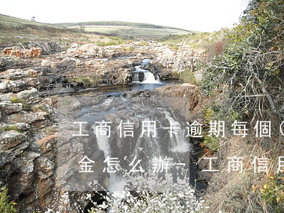 工商信用卡逾期每個(gè)月一直漲違約金怎么辦-工商信用卡逾期每個(gè)月一直漲違約金怎么辦啊