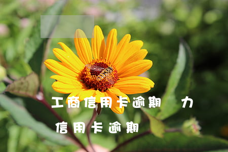 工商信用卡逾期無力償還最壞結果-工商行信用卡逾期