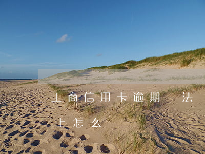 工商信用卡逾期無法還款(欠信用卡逾期還不上怎么辦)