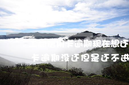 工商信用卡逾期现在想还还不进去(工商银行卡逾期没还 但是还不进去 怎么还款)