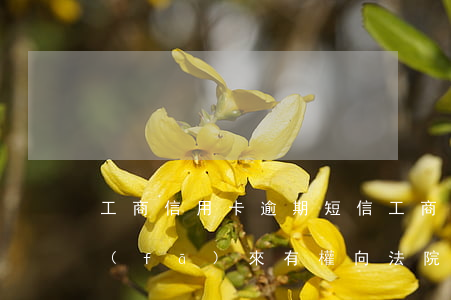 工商信用卡逾期短信 工商信用卡逾期短信發(fā)來有權向法院起訴
