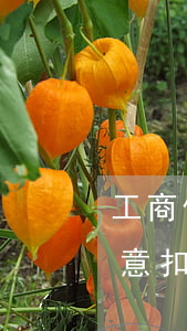 工商信用卡逾期秒扣-怎么投訴工商銀行隨意扣信用卡違約金