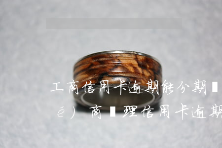 工商信用卡逾期能分期還嗎(找律師協(xié)商辦理信用卡逾期分期有用嗎)