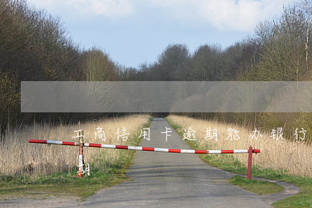 工商信用卡逾期能办银行卡吗(工行信用卡 逾期)