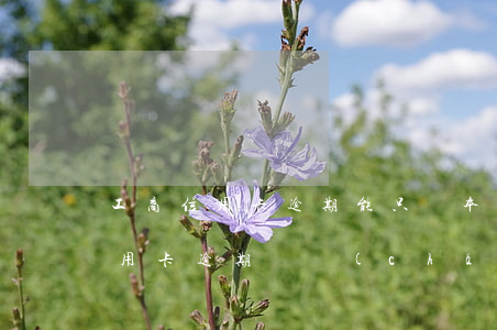 工商信用卡逾期能只還本金嗎(工商銀行的信用卡逾期會產(chǎn)生什么后果)