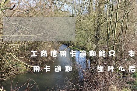 工商信用卡逾期能只還本金嗎(工商銀行的信用卡逾期會產生什么后果)