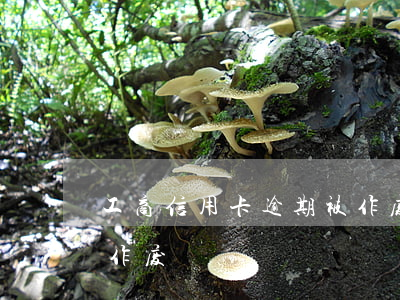 工商信用卡逾期被作废了(信用卡因为逾期被作废)