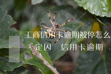 工商信用卡逾期被停怎么辦(工商銀行卡全部鎖定因為信用卡逾期)